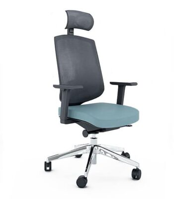 Task Chair Flexibility