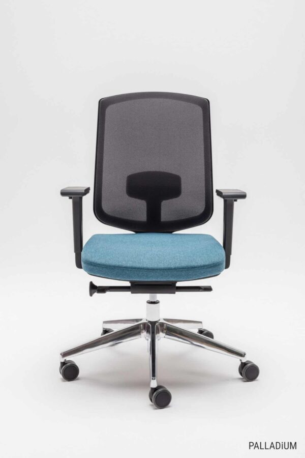 Task Chair Flexibility
