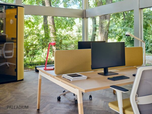 Acoustic screens for single desk